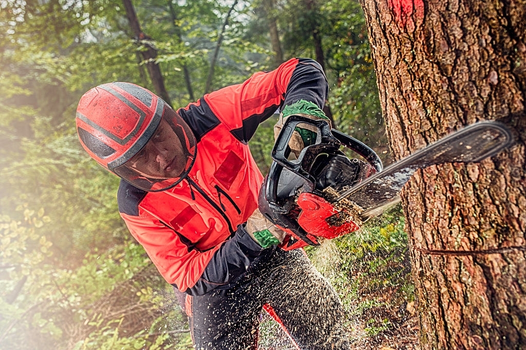 What Is a Chainsaw and How to Use Chainsaw – A Detailed Guide